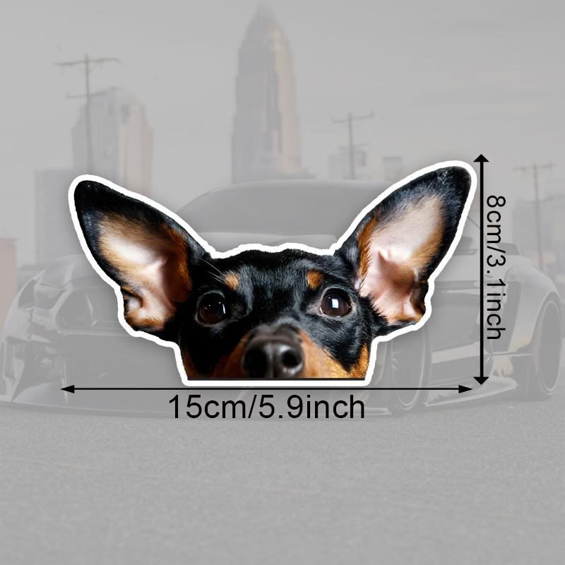 Miniature Pinscher Vinyl Sticker, 15x8cm Waterproof Decal for Car Motorcycle Decor