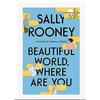 Beautiful World Where Are You Paperback # UKN839