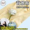 Lezalic Background Linen Plain For Interior Back Studio Cloth Cloth, Style, 120cm180cm, Fabric, Photography, Photography, Multi-purpose,