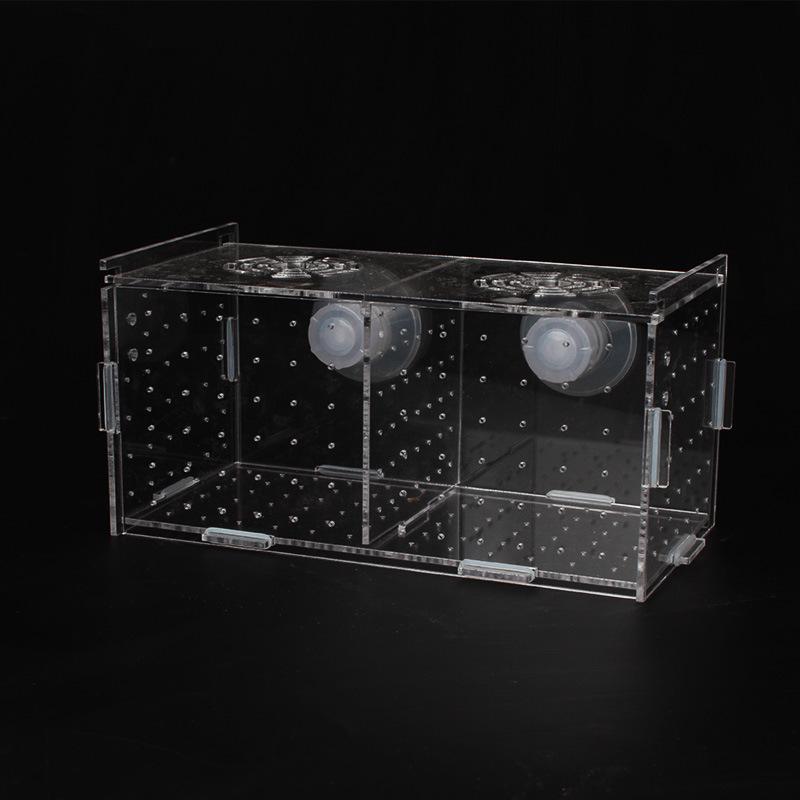 Akrylový akvarijní chovný box: Průhledná izolační síťka pro líhnutí a odchov v jednokomorových/dvoukomorových/vícekomorových líhních