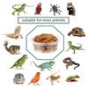 Reptile Feeding Bowls 120 Pcs Crested Gecko Food And Water Feeding Cups, For Lizard And Small Pet Ledge Supplies Feeder