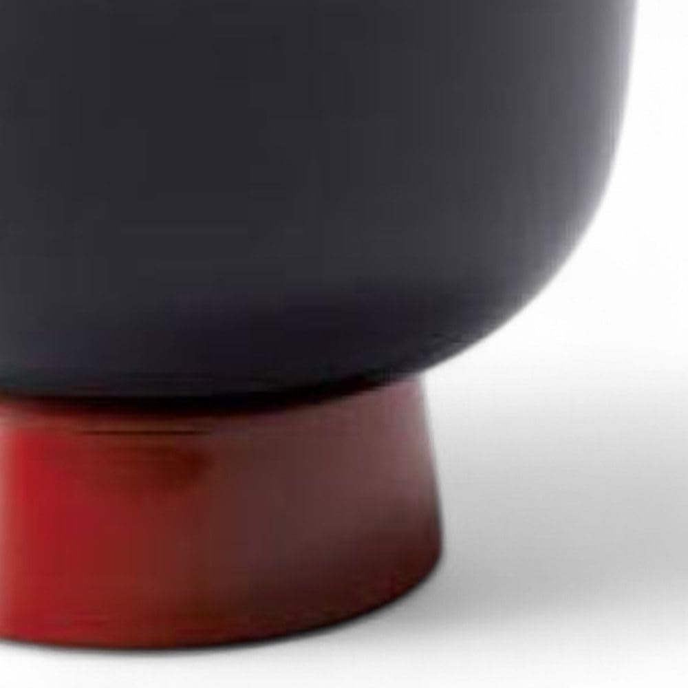 Lacquerware Made in Japan J-kitchens Bowl, Hand-Painted, PID-528374,