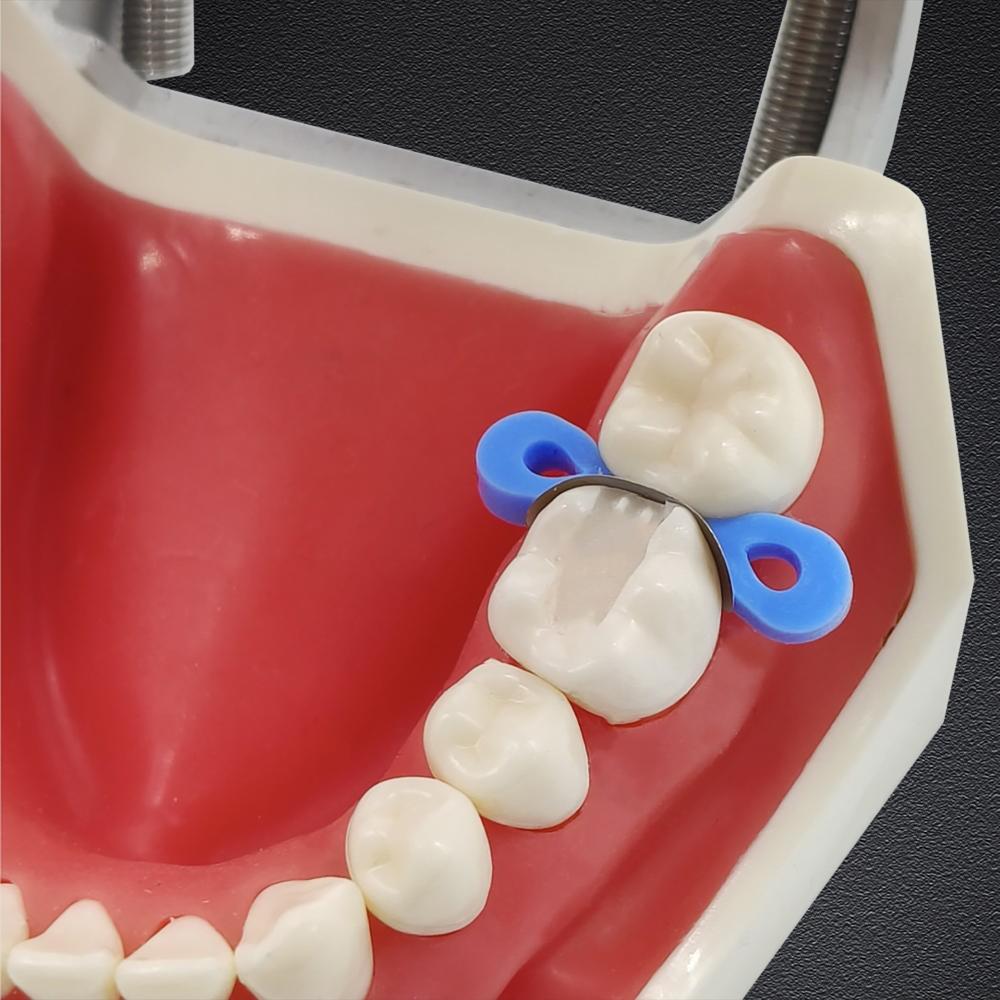 20 szt./60 szt./120 szt. Matryce stomatologiczne profilowane sekcyjne Matryce Matrix Bands Tofflemire Stuck materiał do laboratorium dentystycznego S/M/L