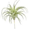 2 PCS Artificial Succulents Plants Unpotted Fake Flocking Tillandsia Air Plants Succulent Bromeliads Bouquet Arrangements Faux Plants DIY for Garden