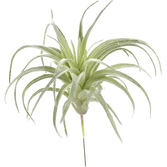 2 PCS Artificial Succulents Plants Unpotted Fake Flocking Tillandsia Air Plants Succulent Bromeliads Bouquet Arrangements Faux Plants DIY for Garden