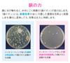 Gaona Sink Drain Garbage Disposal 8cm Antibacterial Copper Cover Garbage Disposal Rental Mini Kitchen GA-PB045