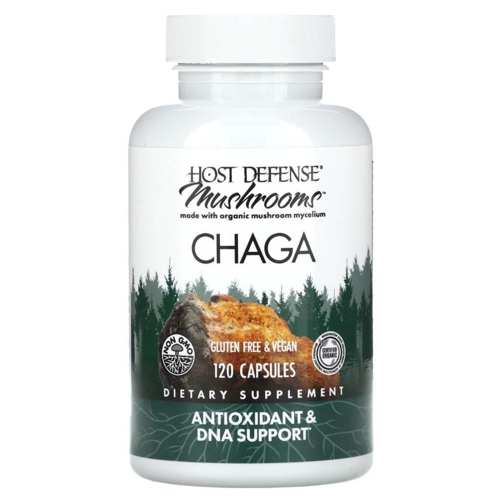 Mushroom, Chaga Mushroom, 120 Capsules (0.5G per capsule)
