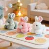 Plush Stuffed Animal Soft Bunny Toy Cartoon Rabbit Plush Doll for Kids Toddlers and Collectors