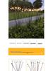 LED Wind-Powered Firefly Lights, 6 or 8 Heads, Outdoor Landscape Decoration for Parks and Streets
