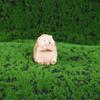 3pcs Cartoon Hedgehog Statue Resin Miniatures Figurine Crafts Animal Sculpture  Gift