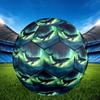 1pc Whale Aurora Size 5 Soccer Ball Professional Match Training Football Indoor &Outdoor Sports Ball Lightweight Durable C6535