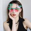 Flamingo Party Glasses Hawaii Party Sunglasses Beach Sunglasses Party Favor