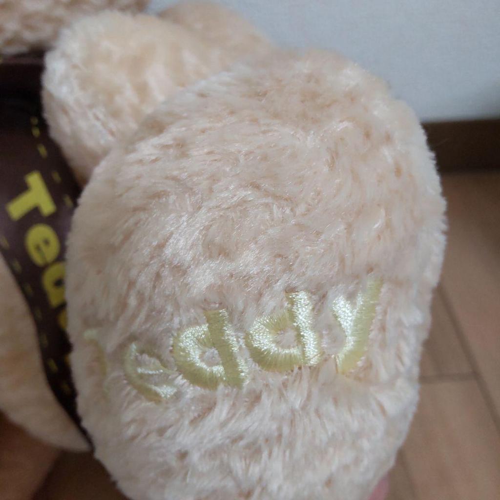 [USED] Anonymous shipping: Teddy bear plush toy