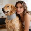 Soft Cat Neck Brace Adjustable Design Pet Protective Collar Dog Cervical Cover  Pet Recovery