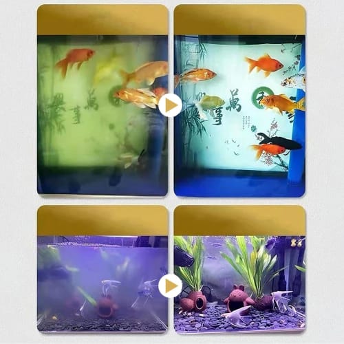 Powerful Polymer Water Purification Tablets for Aquariums. Instantly Removes Turbidity. Safe for Fish, Plants, and Invertebrates. Promotes Healthy Fis