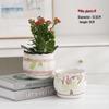 Creative Pattern Ceramic Flower Pot with Drip Tray