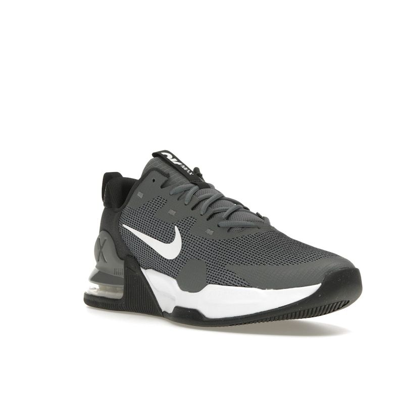 Nike Air Max Alpha Trainer 5 Smoke Grey Men Sneakers Dark-Smoke-Grey Dark-Grey White DM0829-003