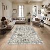Decorative Area Rugs, Rugs For Living Room, Machine Washable Rug, Non Slip Rug