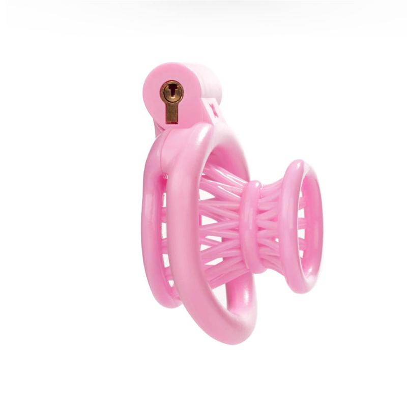 2025 New Male Negative Chastity Cage 4 Colors Cock Cage Abstinence Control Sissy Penis Lock with 4 Size Rings Adult Products