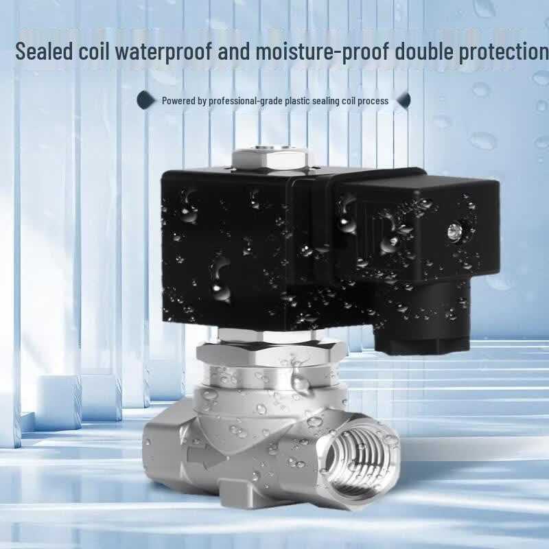 Yunduo High-Pressure Stainless Steel Solenoid Valve, DN15 AC220V