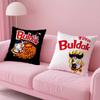 K-Kwaii Anime B-Buldak R-Ramesn Pillow Case Safe Custom Photo Pillow, Anti-Fade Brushed Fleece Cushion, Maternal & Infant Safe.