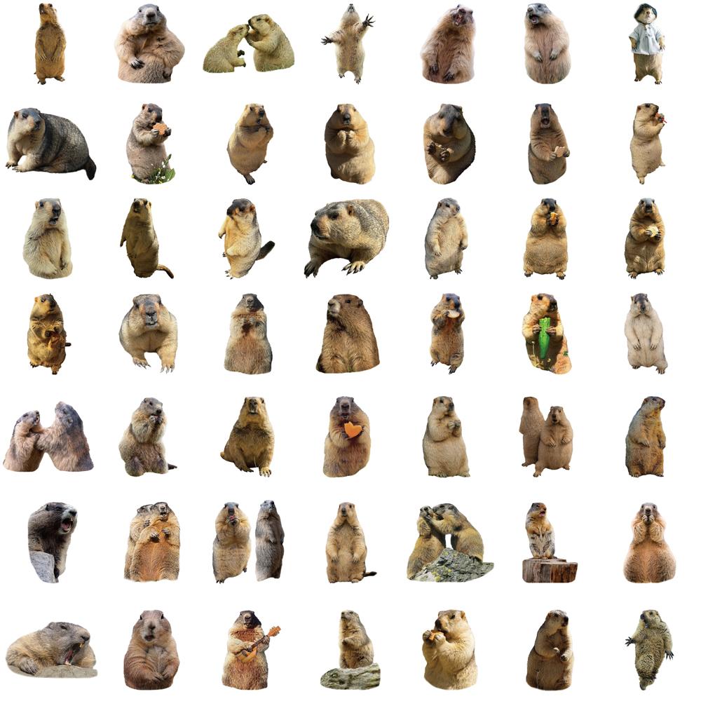 50PCS Groundhog Sticker Harajuku Guitar Phone Cafe Art Aesthetic Landscape Watercolor Laptop Luggage Wall Art Suitcase Decals