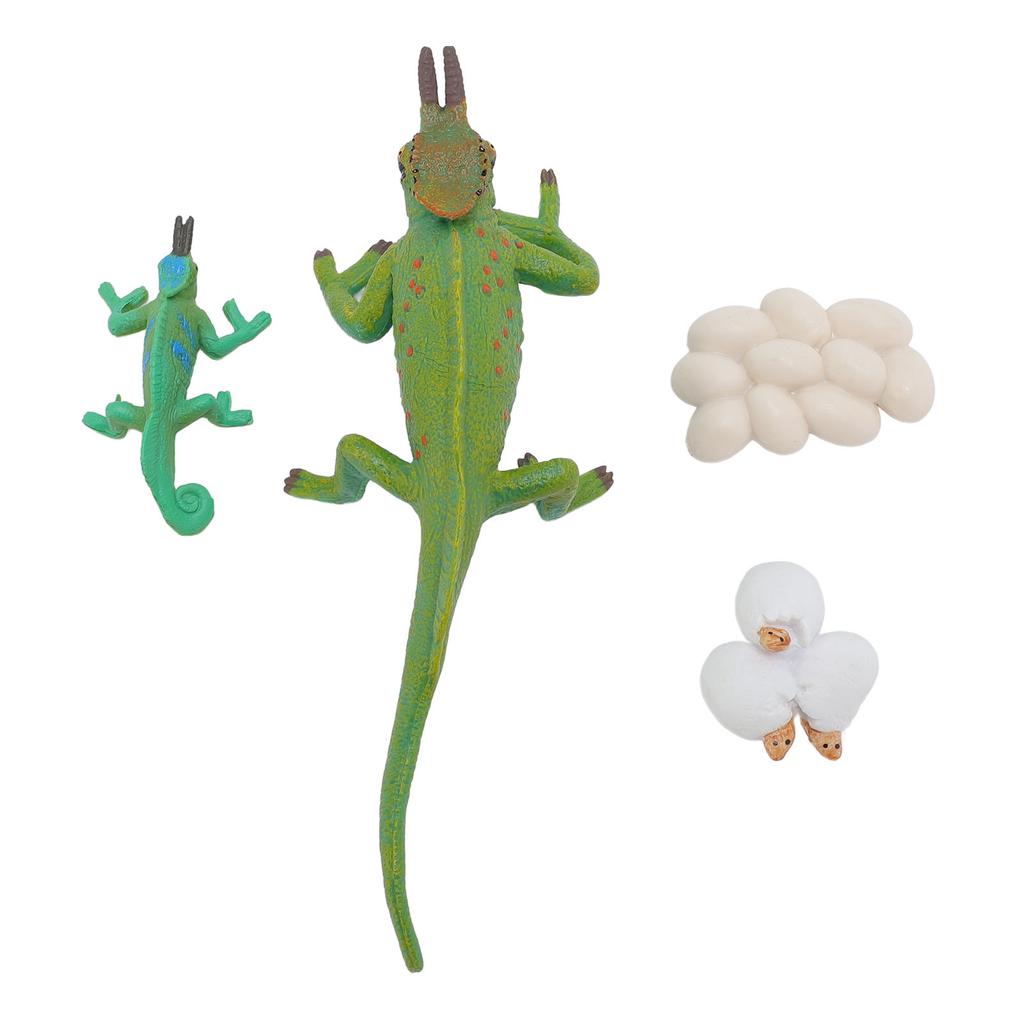 4pcs Simulation Animal Model Toy Ornament Children Cognitive Growth Cycle Toy for Home School
