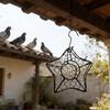 Star Shape Wire Wreath Hanging Basket Succulents Plant Holder Wall Planter Indoor Outdoor Garden Decoration
