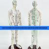 Human Acupuncture Model with Meridian Points Male Acupuncture Model Female Acupuncture Model with Numbered Chinese Point