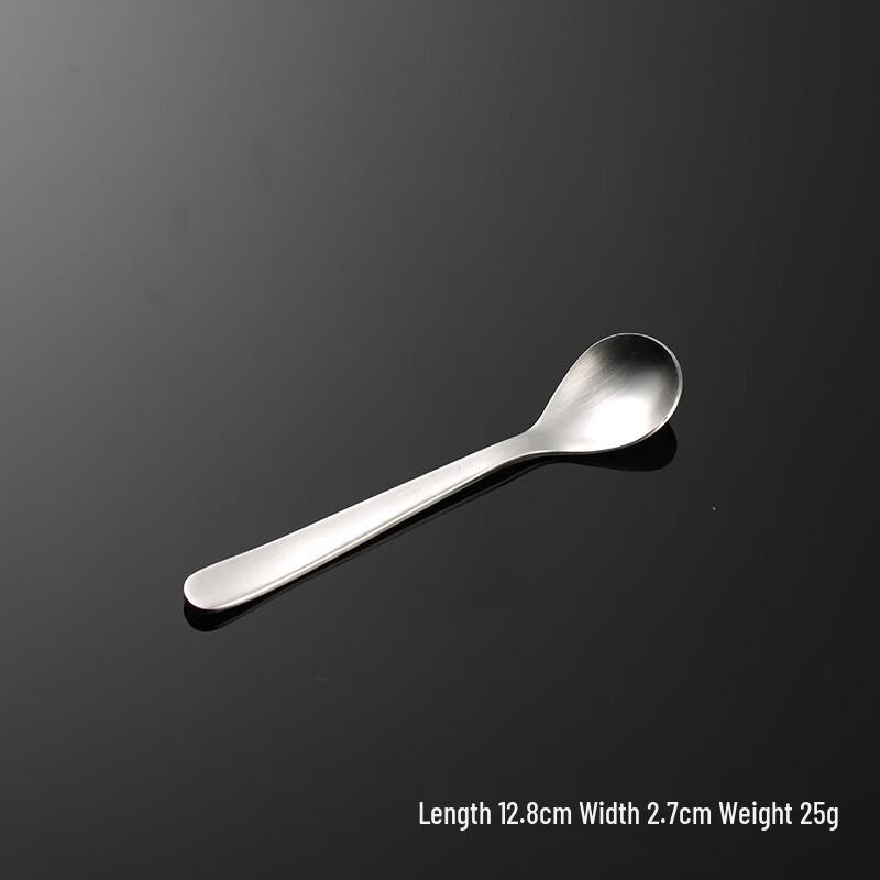 Qianxing Japanese Style 304 Stainless Steel Tea Spoons (10-Pack)