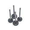Intake & Exhaust Valve Stems for Biyaqiao NEXUS 250/300 HPE Motorcycle Engines