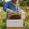 Bee Hive Hook Scraper Multifunctional Beekeeping Hive Tool Hive Scraper J Type Honey Scraper For Beekeeper Supplies Equipment
