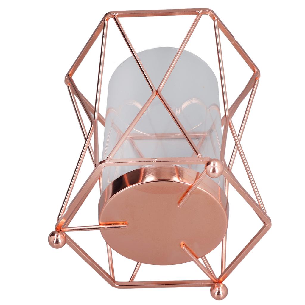 Plant Vase with Wrought Iron Flower Stand Transparent Glass Flower Pot Hydroponic Vase for Living