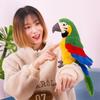 [Qingyun LEE] Realistic Plush Parrot Bird Stuffed Toy, Gift, Body Pillow, Parrot, Plush, Fluffy, Cute, Green