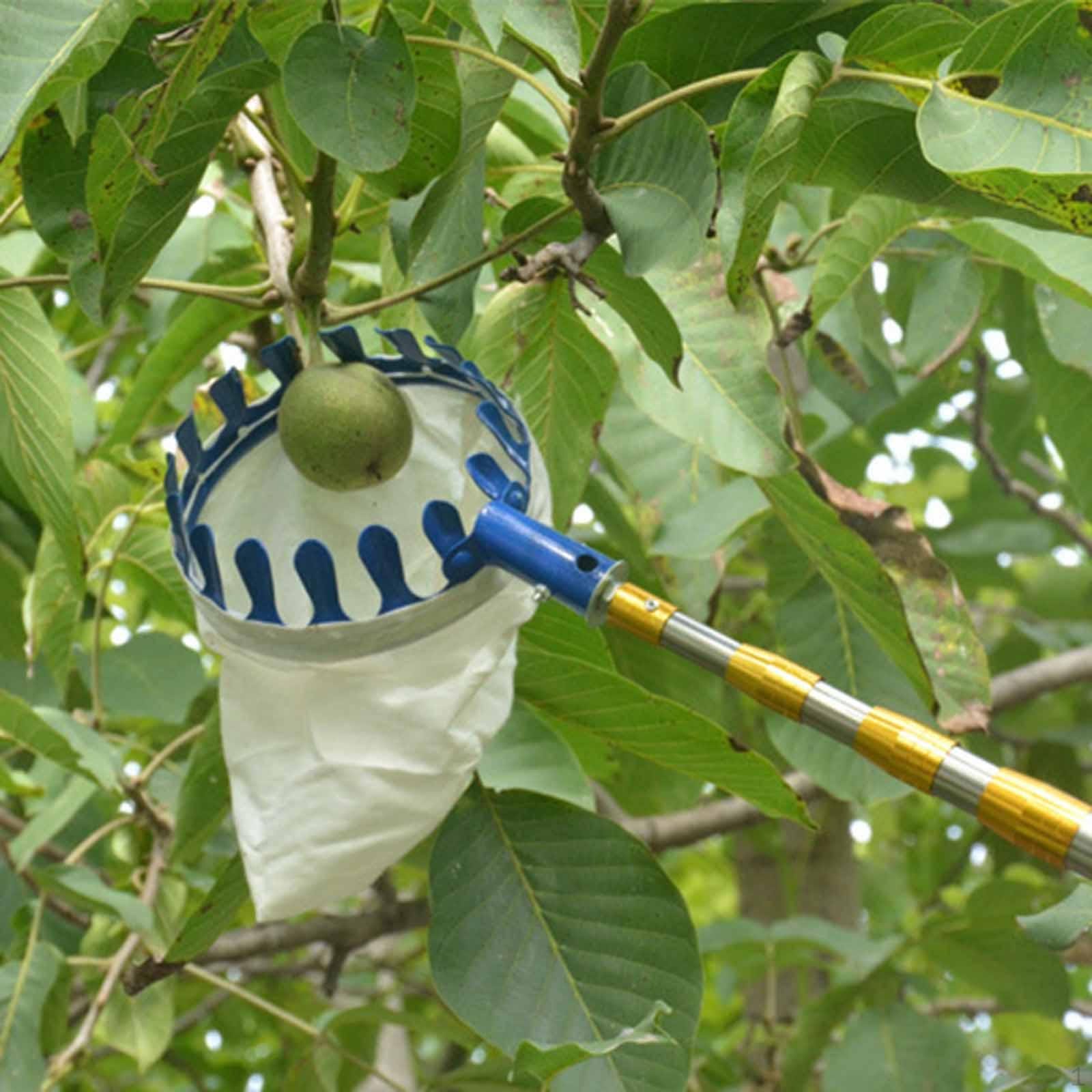 

Fruit Picker Head, Basket, Picking Bag, Harvester синий