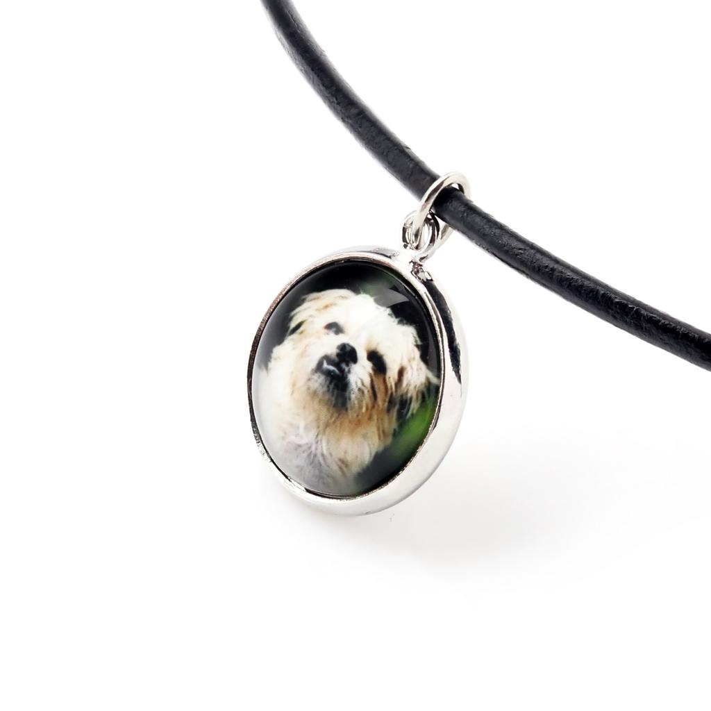 Griffon Bruxellois, Griffón de Bruselas - colgante de collar con tu foto, hecho a mano, joyería artesanal de la marca Art-Dog