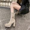 Vintage Platform Thick High Heel Women Ankle Boots Fashion Slip On Autumn Winter Female Western Short Booties