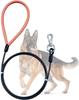 Waterproof Dog Leash for Training, Long PVC Pet Leashes, Chew Proof Lead for Training Beach Yard, Camping and Outdoors