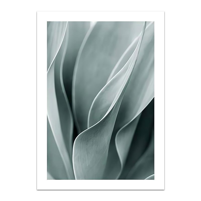 Palm Leaves Plant Art Canvas Painting Aloe Botanical Posters and Prints Modular Wall Pictures for Living Room Home Decoration