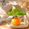 Sustainable Plastic Flower Vase Orange Shaped Vase, Decorative Hydroponics Creative Container, Small Unique Tabletop Ornament Pot for Living