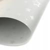 KARTON OZDOBNY STARS SREBNY 220G/M2 (20) 8532