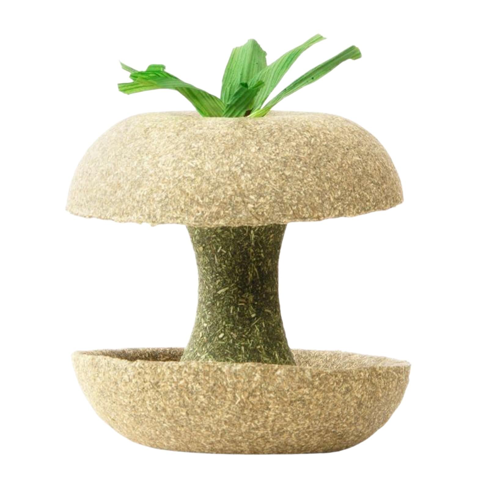 

Основные прорезыватели Тимофеевка печенье One Size