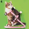 Gatos – Colares e correias para gatos