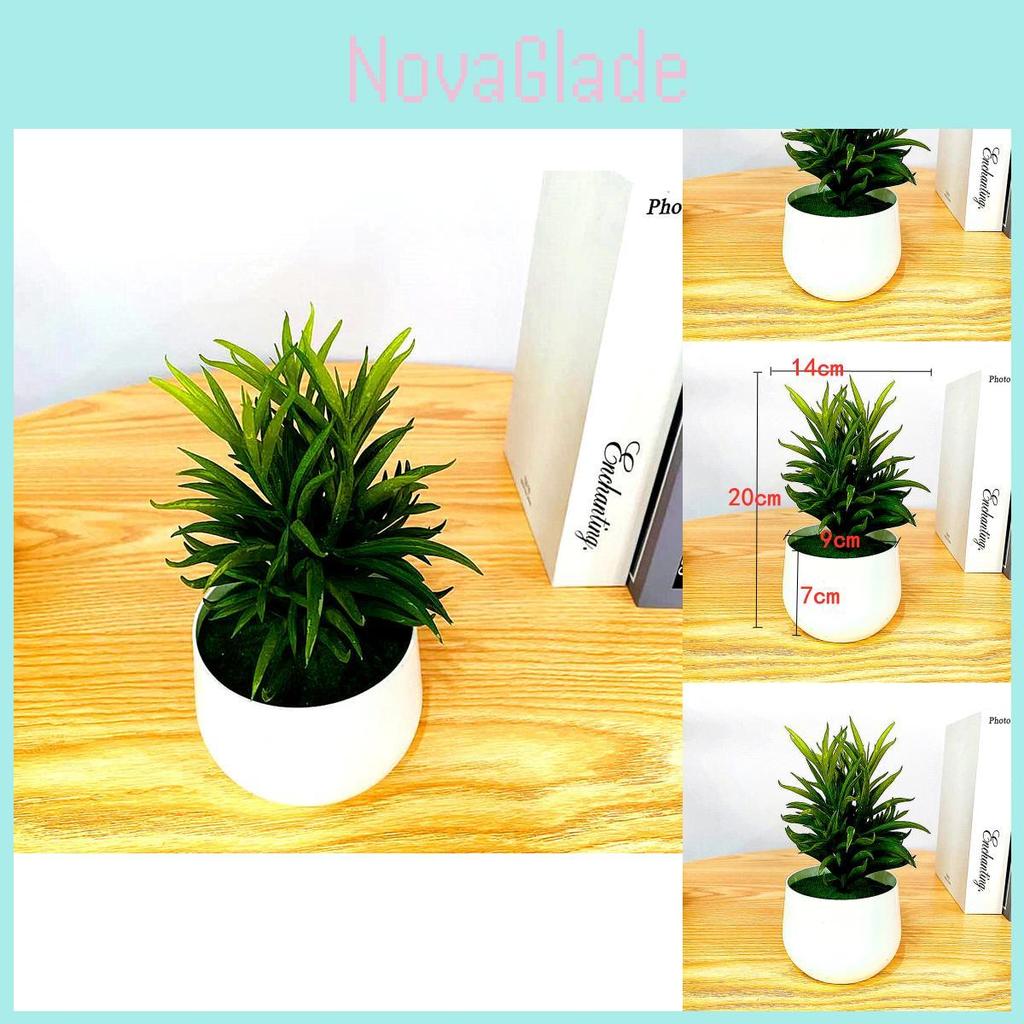 Fake Succulent Plant Pot With Pvc Material For Home Decor And Office Display