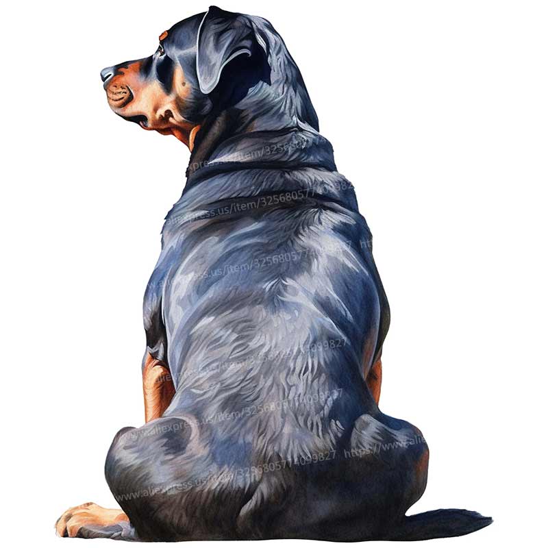 

8 Styles Cute Pet Dog Animal Car Sticker Vinyl Decal Waterproof Rear Window Motorcycle Camper Bumper Laptop Decoration Y206 A-15cm Longest Side