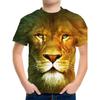 3D Digital Print Kids Stylish Lion Dragon Animal Pattern T-Shirt Boys Short Sleeve Crew Neck Casual T-shirts
