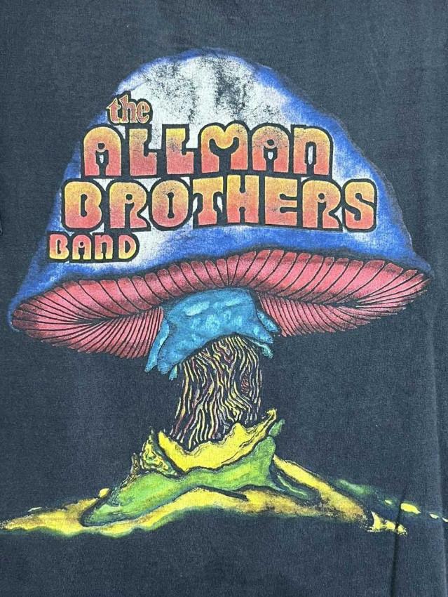 ВИНТАЖНАЯ УНИСЕКС ФУТБОЛКА THE ALLMAN BROTHERS BAND SUMMER Все Размеры GS374 Унисекс Футболка XXL