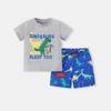 Kids Short Sleeve Set Dinosaur Print T-Shirt and Shorts 2-Piece Outfit for Boys Girls Summer Casual Sportswear