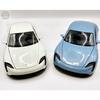 Welly Porsche Taycan Diecast Model Car 1:24 Scale