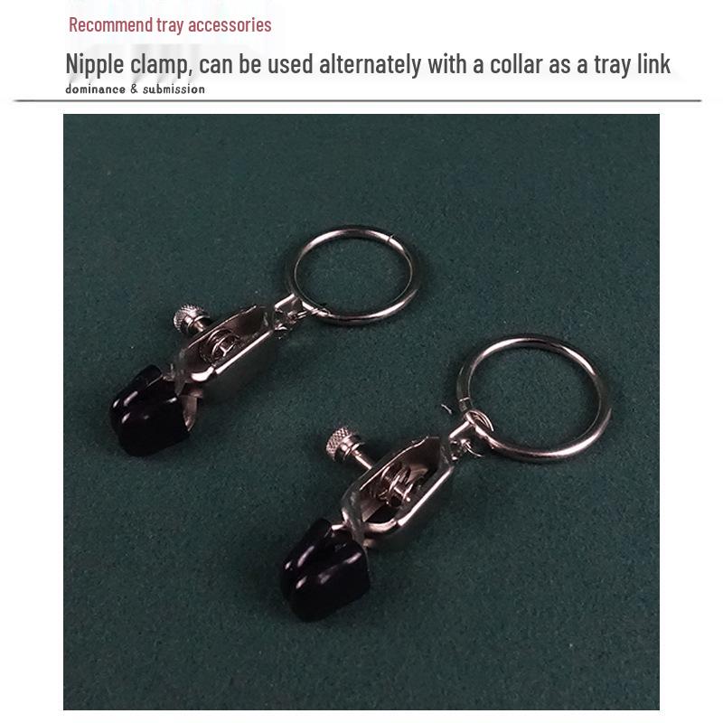 Adjustable Load-Bearing Anal Hook for BDSM Play